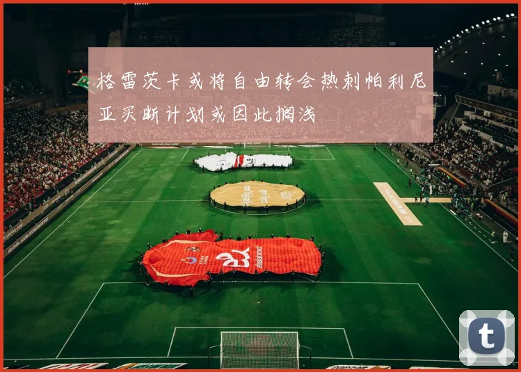 格雷茨卡或将自由转会热刺帕利尼亚买断计划或因此搁浅