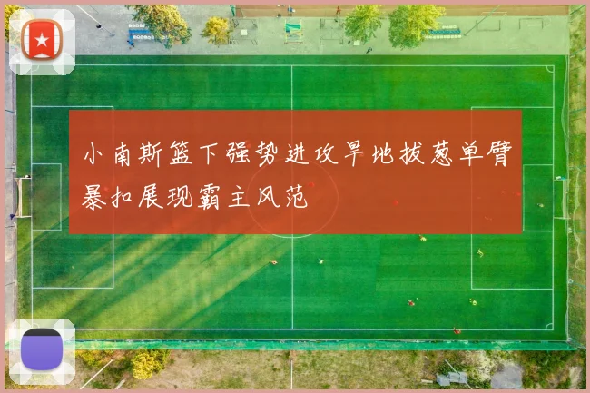 小南斯篮下强势进攻旱地拔葱单臂暴扣展现霸主风范