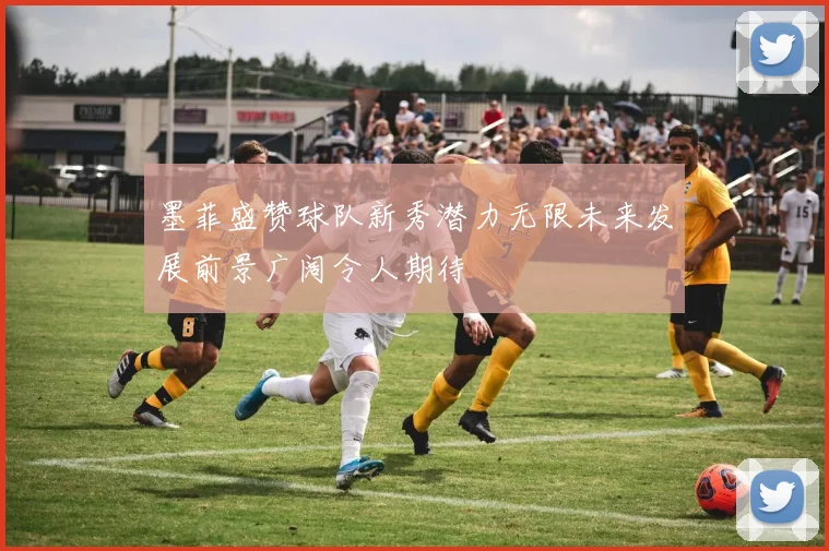 墨菲盛赞球队新秀潜力无限未来发展前景广阔令人期待